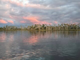 Talk about a beautiful Nature Coast morning!!!! #discovercrystalriver #orvisendorsed #livingthedream