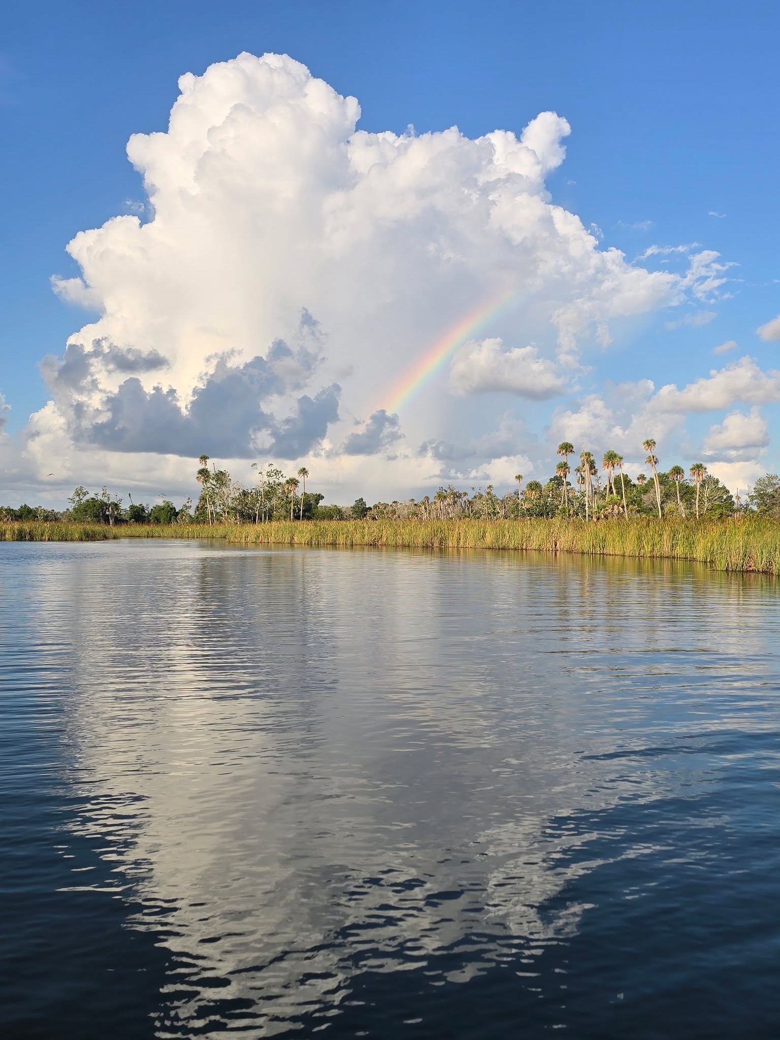 Another beautiful morninf here along the Nature Coast. #discovercrystalriver #livingthedream #WaterfrontLiving