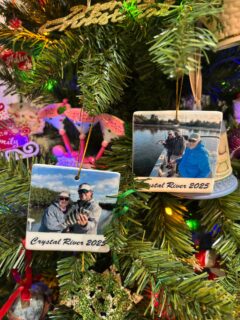 Making the Alagna Christmas tree in 2025 could be the highlight of my fishing year!!! Thank you Philip Alagna Jr. for sending me this photo!!! #discovercrystalriver #lifeisgood #trulyblessed #reelfloridafishingcharters #orvisendorsed