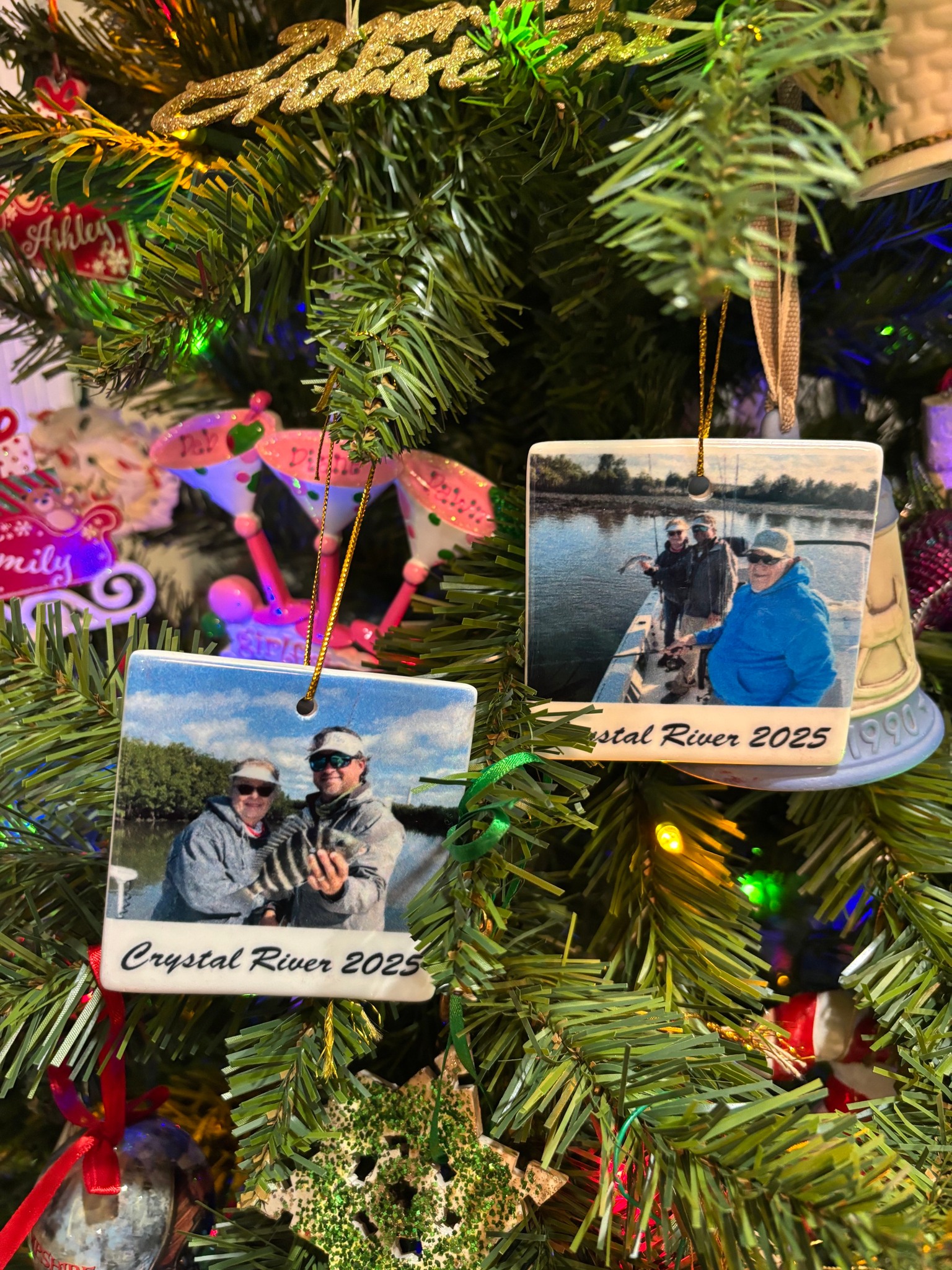 Making the Alagna Christmas tree in 2025 could be the highlight of my fishing year!!! Thank you Philip Alagna Jr. for sending me this photo!!! #discovercrystalriver #lifeisgood #trulyblessed #reelfloridafishingcharters #orvisendorsed