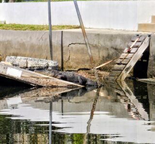 Just chillin!!!! #discovercrystalriver