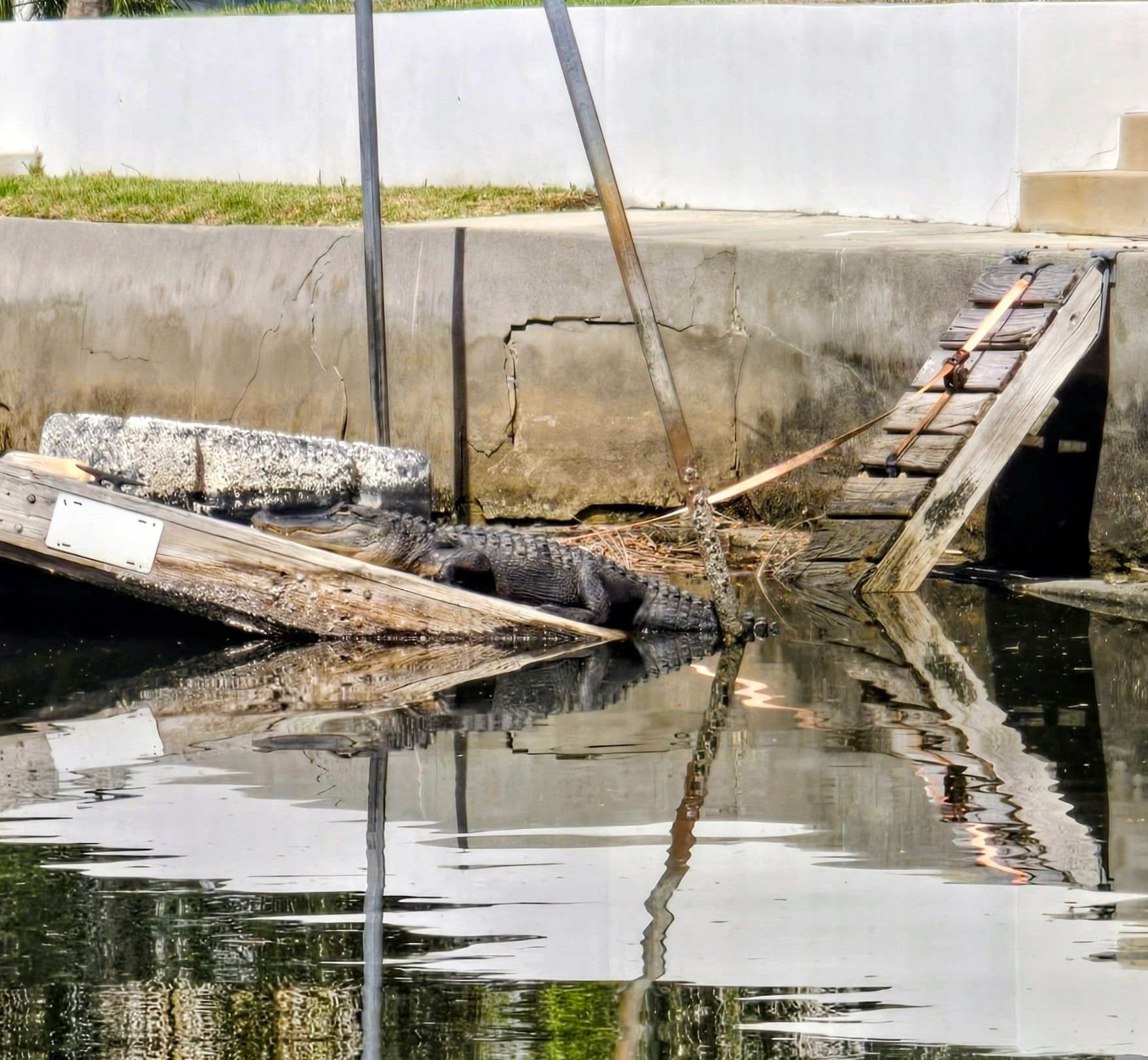 Just chillin!!!! #discovercrystalriver