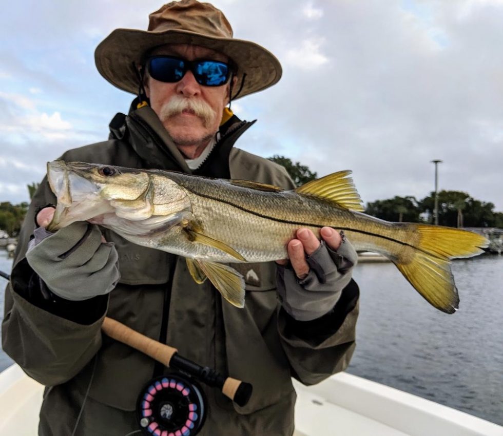 Snook Crystal River Fly Fishing