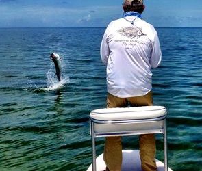 Tarpon Time Along the Nature Coast.