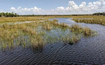 Flood Tide Fishing for Redfish.