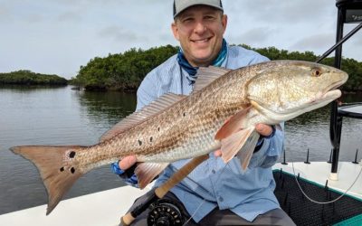 Crystal River and Homosassa Fishing Report