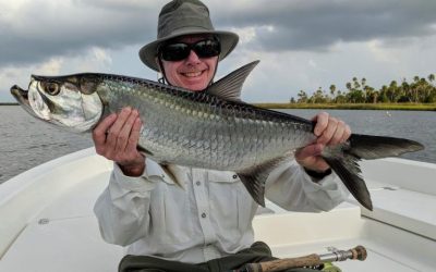 Juvenile Tarpon Time of Year