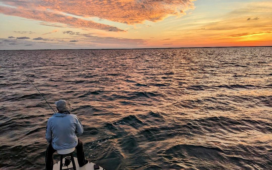 The Obsession of Tarpon Fishing