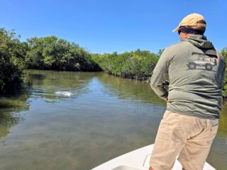 Checkout this stud of a backcountry redfish my good man Alan landed this afternoon. Talk about a beautiful fish to go along with an incredibly beautiful day. Life is Good here along the Nature Coast!!! #discovercrystalriver #orvisendorsed #lovingflorida #PathfinderBoats