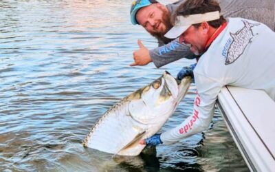 TARPON! TARPON! TARPON!!!