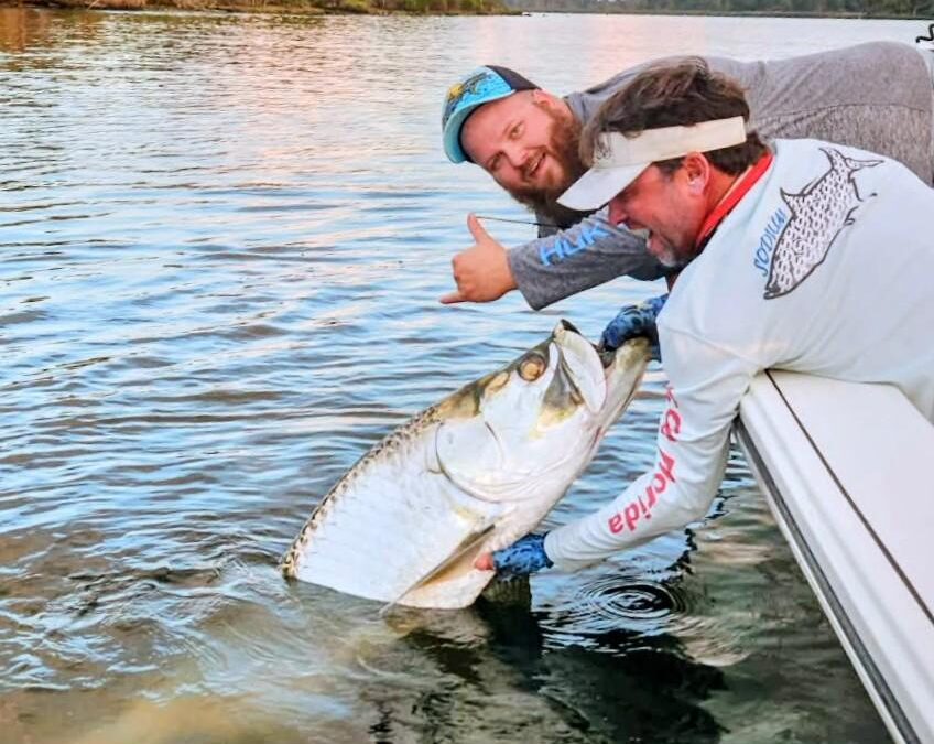 TARPON! TARPON! TARPON!!!